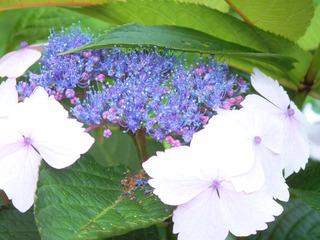 sPICT0115.jpg